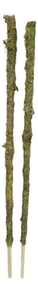 Pack X 2 Tutores Con Musgo Para Plantas Alto 1,20 Mts 1