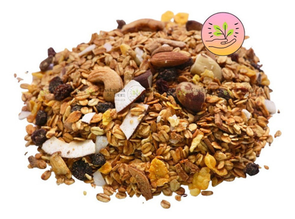 Granola De Cereais Zero Açúcar 1kg - Frutas E Castanhas 1