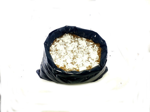 Produza O Cogumelo Juba De Leão Em Casa Sabor De Lagosta 1