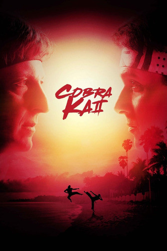 Poster Lona Vinilica 60 X 90 Cm - Cobra Kai (temp 1 Y 2) 1
