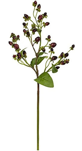 Casi Natural 17? Flor De Grano De Café Italiano (juego De 8) 0