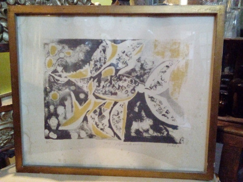 Antiguo Grabado Vicente Forte 1963 Pajaros De America 0