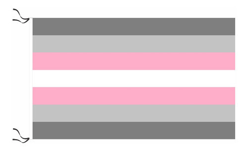 Bandera Demigenero Demigirl Lgbt 90 X 60cm 0