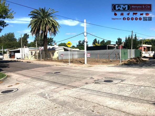 Alquiler Terreno Esquina En Trinidad Flores Todo Cerrado 1 Alquiler Terreno Esquina En Trinidad Flores Todo Cerrado 1