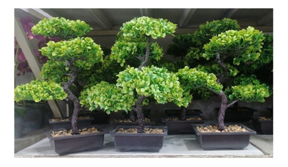 Bonsai Artificial 25cms De Alto 1