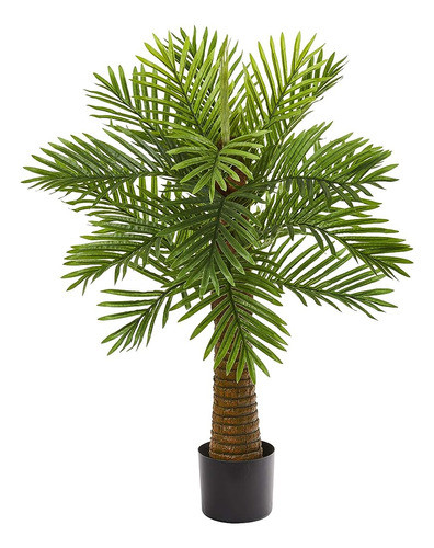 Casi Natural 3ft. Robellini Palma Árboles De Seda Artificial 0