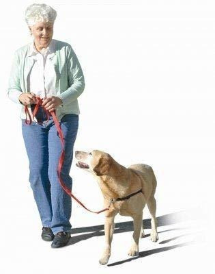 El Arnes Original De Entrenamiento Para Perros Sense-ation 1