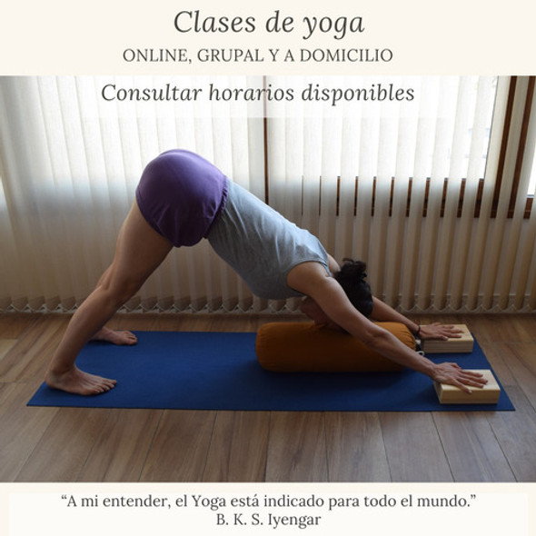 Clase De Yoga Individual. Modalidad Online. 1
