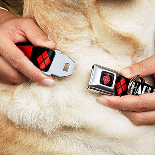Hebilla Con Cuello De Perro Cinturon De Seguridad Hebilla H 1
