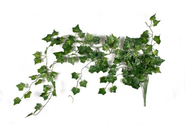 Enredaderas (9 Guías) 0 Enredaderas (9 Guías) 0