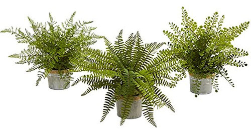 Nearly Natural 4222-s3 Helechos Surtidos De 14  Con Maceta P 0