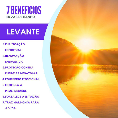 Erva Para Banho | Levante Quebra Demanda Pura Ritualística 1