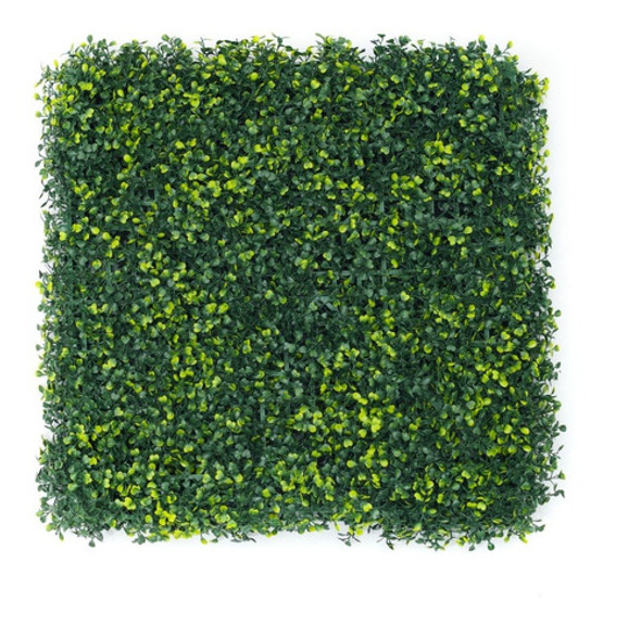Muro Verde Jardin Vertical 50x50 Proteccion Uv Para El Sol 0