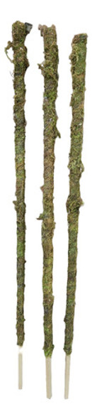 Pack X 3 Tutores Con Musgo Para Plantas Alto 1,20 Mts 0