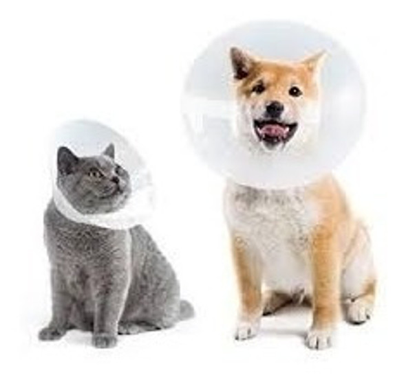 Collar Isabelino De Encastre - Todos Los Tamaños 0 Collar Isabelino De Encastre - Todos Los Tamaños 0