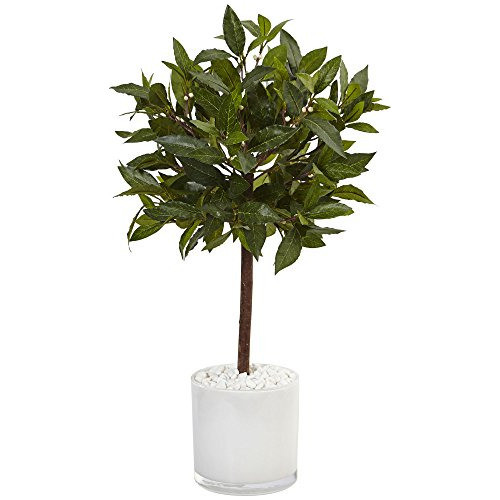 Casi Natural 2 Dulce Bay Tree Artificial, Color Verde 0