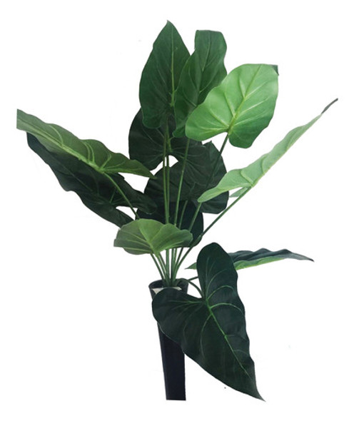 Planta Alocasia Atifical 55caprox. 0 Planta Alocasia Atifical 55caprox. 0