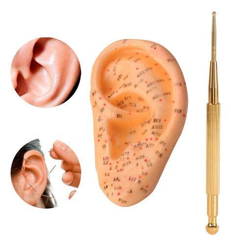 Detector Puntos Retractil + Modelo Oreja Auriculoterapia 0