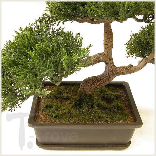 Árbol Bonsái Cedro Japonés Artificial 9 Pulgadas Alto 1
