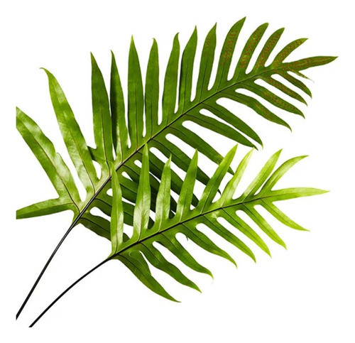 Planta Artificial Hoja Palmera Decoración Interiores 72 Cm 0