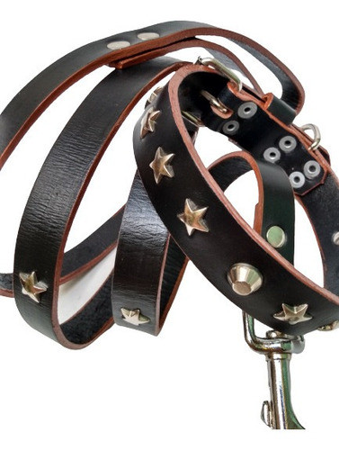 Conjunto Perro Correa Y Collar Con Borde Pintado Y Estrellas 1