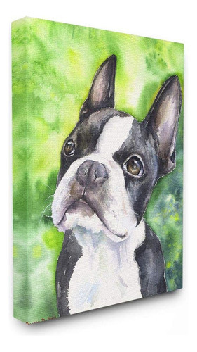 Stupell Industries Lindo Boston Terrier Perro Mascota Acuare 0