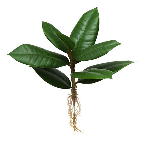 Vara De Planta Artificial | Hojas Gomero Con Raiz | 30cm 0