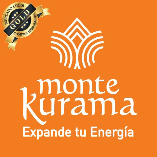 Puedo Leer Tu Mente Y Tú La Mia   Dina Furceanu 1