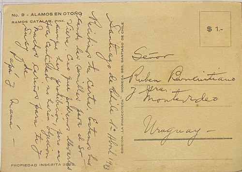 Antigua Postal Álamos En Otoño Pinacoteca Chile P02/ 1 1