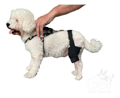Protector Bilateral Para Rodillas Perro Talle L 1