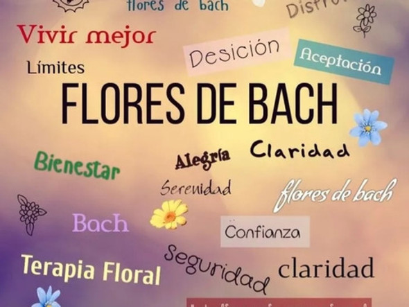Flores De Bach. Rescate 1