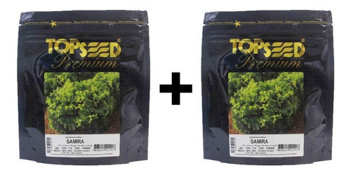 Kit Com 4000 Sementes Alface Crespa Samira Topseed Promoção 0