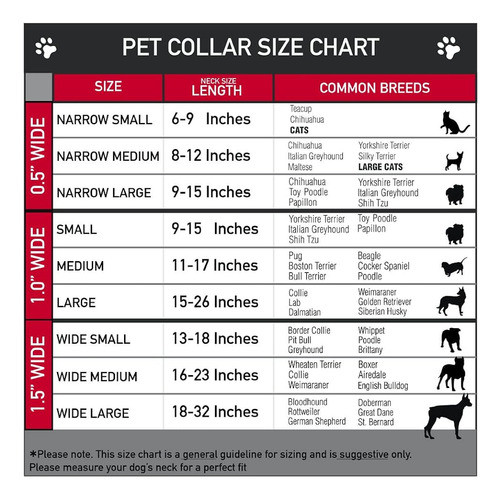 Collar Para Perros Martingala Con Hebilla - Ursula 4-poses/c 1