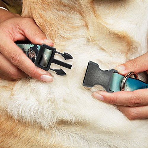 Collar De Perro Con Hebilla Hacia Abajo Clip De Plastico En 1