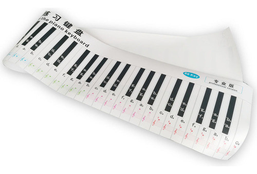 Adesivo Professional Chart Student Teaching Aid Note 88 0