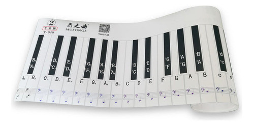 Adesivo Professional Chart Student Teaching Aid Note 88 1