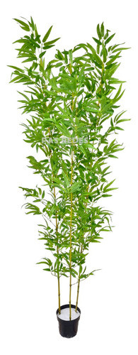Bambu Mossô Artificial Tronco Natural 180cm + Vaso Apoio 0