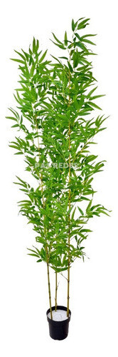 Bambu Mossô Artificial Tronco Natural 180cm + Vaso Apoio 1