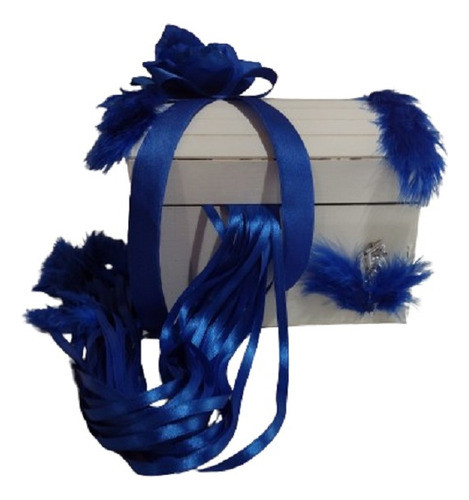 Cofre Con 30 Cintas. Dijes Y Plumas 0