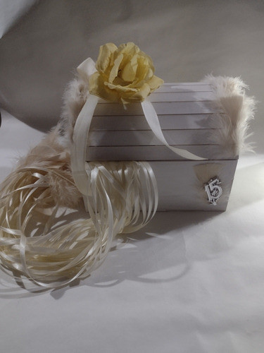 Cofre Con 30 Cintas. Dijes Y Plumas 1