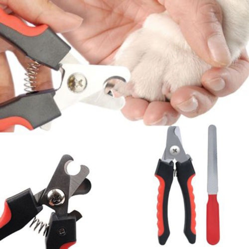 Acero Inoxidable Mascota Perro Gato Clavo Del Dedo Del Pie T 1