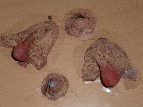 Mascaras, Protesis, Maquillaje, Para Halloween 1