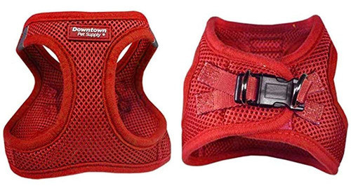 Suministro De Mascotas En El Centro Sin Tirones, Con Arnes 0