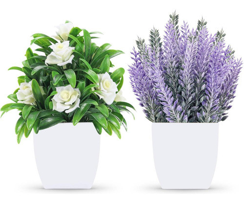 Der Rose 2 Paquetes Pequeñas Plantas Falsas Interior Con 0