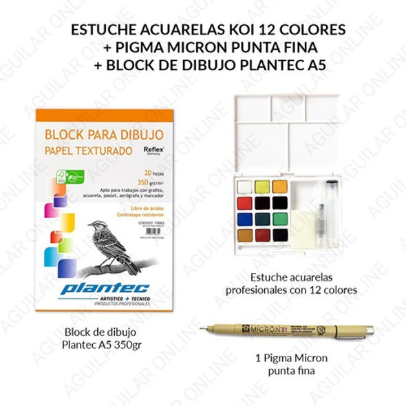 Kit Set 12 Acuarelas Sakura Koi Microfibras Micron Block A5 1