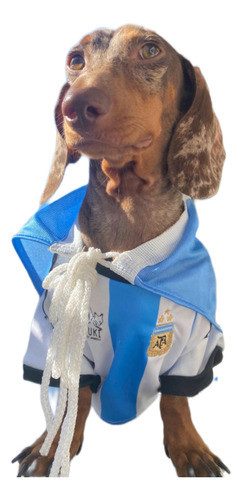 Camiseta Seleccion Argentina Para Mascotas 0