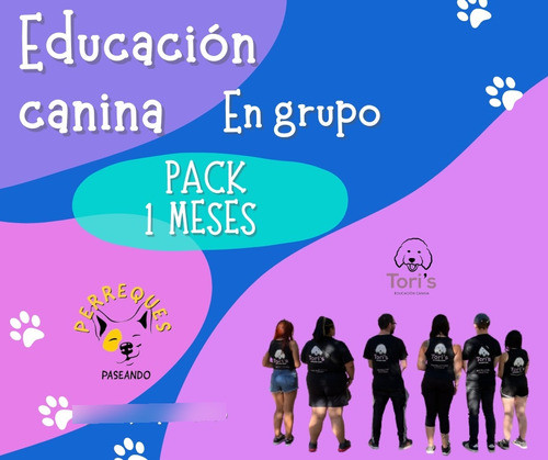Clases De Adiestramiento Canino En Grupo 0