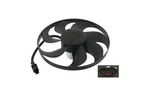 Electro Bora ( Grande ) 0