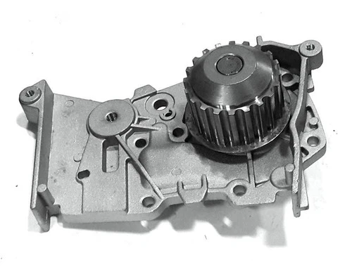 Bomba Agua Renault Clio Ii Fase I Hatchback 1.6 16v Nafta 19 0