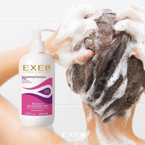 Kit Shamppo + Acondicionador Para Caida Del Cabello Pva Exel 1 Kit Shamppo + Acondicionador Para Caida Del Cabello Pva Exel 1